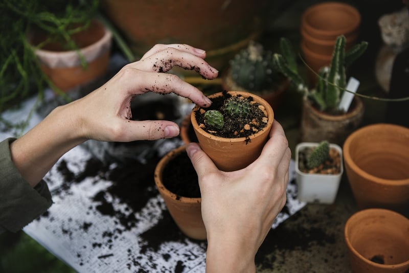Companion Planting